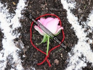 Der rote Faden wurde um die rosa Rosenblüte im Zentrum des Serch-Bythol-Symbols gelegt.