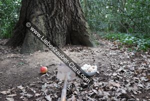 Ankunft an der Ritualstätte: Ansicht des Stammes eines Eichenbaumes. Vor dem Baum liegen auf dem Boden der präparierte Apfel, die Schaufel und die Schale mit den Pilzen auf dem Boden bereit.